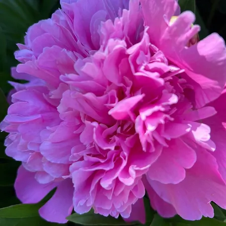 Gaestehaus Lumesberger