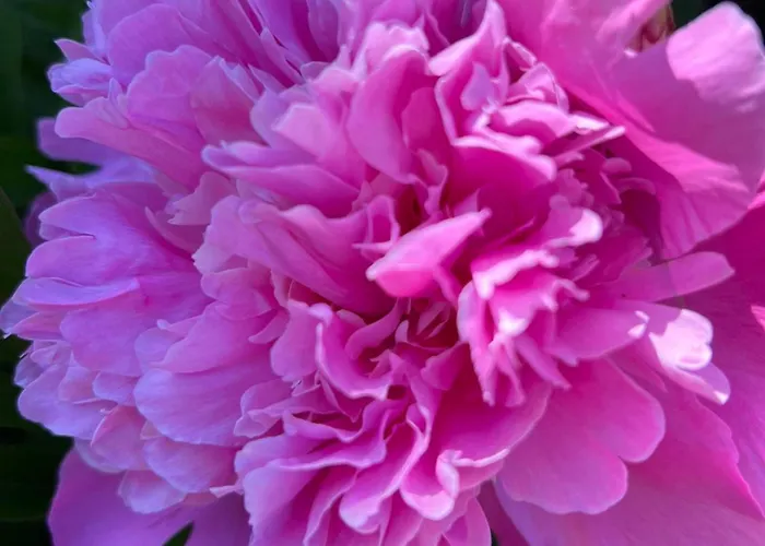 Gaestehaus Lumesberger